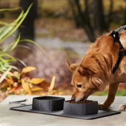 Frisco Travel Silicone Dog & Cat Travel Double Diner Bowl -Frisco 363405 PT2. AC SS1800 V1664558631