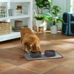 Frisco Travel Silicone Dog & Cat Travel Double Diner Bowl -Frisco 363405 PT3. AC SS1800 V1665170736