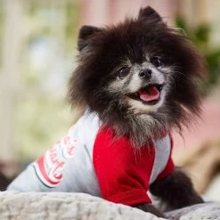 Frisco Mama's Sweetheart Dog & Cat T-Shirt 18 Frisco Mama's Sweetheart Dog & Cat T-Shirt -Frisco 371063 PT7. AC SS1800 V1701796982