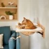 Frisco Acrylic Bowl Wall Mounted Cat Wall Shelf -Frisco 373439 MAIN. AC SS1800 V1673014135