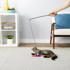 Blue Buffalo Baby Blue Savory Salmon Kitten Treats, 2-oz Bag & Frisco Bird With Feathers Teaser Wand Cat Toy With Catnip -Frisco 501918 PT8. AC SS1800 V1648516909