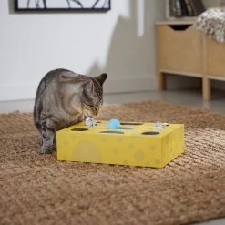 Frisco Cheese Interactive Maze Cardboard Cat Toy Box With Catnip 12 Frisco Cheese Interactive Maze Cardboard Cat Toy Box With Catnip -Frisco 506106 PT4. AC SS1800 V1669148185