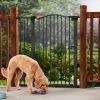 Frisco Outdoor Steel Arch Extra Tall Auto-Close Dog Gate -Frisco 507102 MAIN. AC SS1800 V1668736255