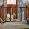 Frisco Outdoor Steel Arch Extra Wide Auto-Close Dog Gate 2 Frisco Outdoor Steel Arch Extra Wide Auto-Close Dog Gate -Frisco 507118 MAIN. AC SS1800 V1668737294