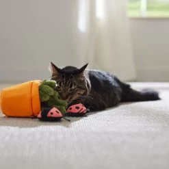 Frisco Spring Potted Plant And Ladybugs Interactive Plush Cat Toy With Catnip 10 Frisco Spring Potted Plant And Ladybugs Interactive Plush Cat Toy With Catnip -Frisco 541542 PT3. AC SS1800 V1671814448