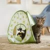 Frisco Spring Daisy Pop-Up Tent Cat Toy With Catnip 1 Frisco Spring Daisy Pop-Up Tent Cat Toy With Catnip -Frisco 541574 MAIN. AC SS1800 V1671814454