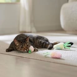 Frisco Easter Carrot Plush Cat Toy With Catnip 8 Frisco Easter Carrot Plush Cat Toy With Catnip -Frisco 550470 PT4. AC SS1800 V1702500564