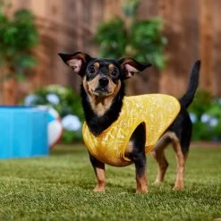 Frisco 30+ UPF Dog & Cat Beach Rash Guard 16 Frisco 30+ UPF Dog & Cat Beach Rash Guard -Frisco 556286 PT6. AC SS1800 V1675714036