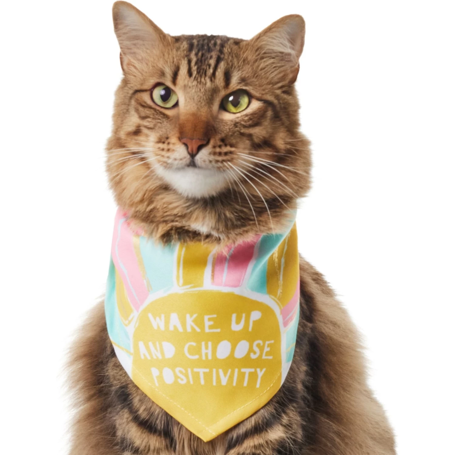 Frisco Wake Up Positive Dog & Cat Bandana 5 Frisco Wake Up Positive Dog & Cat Bandana - Image 3