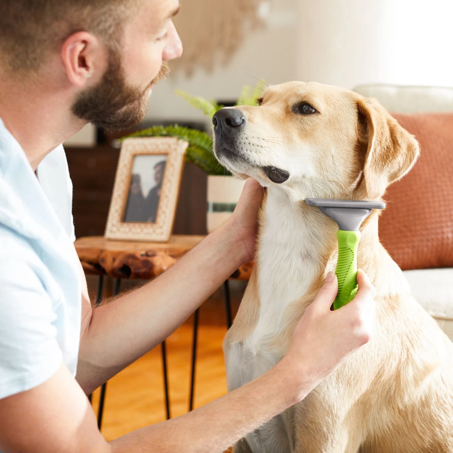 Frisco 71-in Faux Fur Cat Tree & Condo & Frisco Deshedding Dog & Cat Brush 10 Frisco 71-in Faux Fur Cat Tree & Condo & Frisco Deshedding Dog & Cat Brush - Image 8