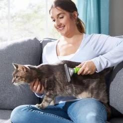 Frisco 71-in Faux Fur Cat Tree & Condo & Frisco Deshedding Dog & Cat Brush 19 Frisco 71-in Faux Fur Cat Tree & Condo & Frisco Deshedding Dog & Cat Brush -Frisco 660294 PT8. AC SS1800 V1666838810