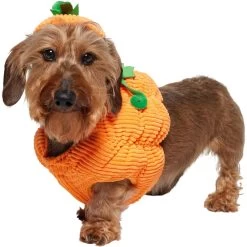Frisco Pumpkin Ball Dog & Cat Costume 12 Frisco Pumpkin Ball Dog & Cat Costume -Frisco 708902 PT2. AC SS1800 V1689351041