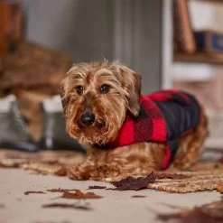 Frisco Reversible Medium Weight Boulder Plaid Dog & Cat Coat 14 Frisco Reversible Medium Weight Boulder Plaid Dog & Cat Coat -Frisco 717846 PT7. AC SS1800 V1692375977