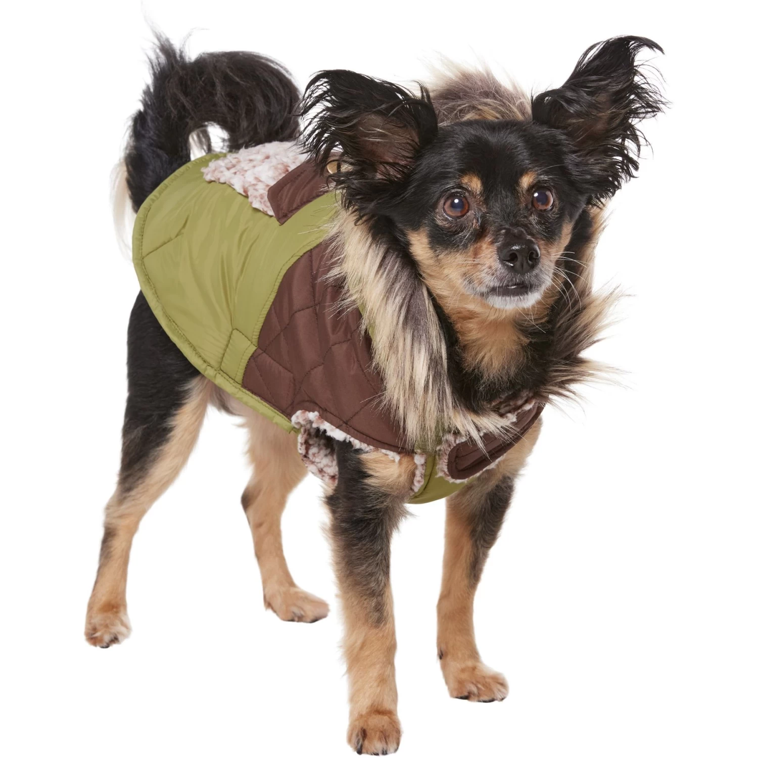 Frisco Heavy Weight 2-Tone Sherpa Lined Hybrid Quilted Dog & Cat Parka 5 Frisco Heavy Weight 2-Tone Sherpa Lined Hybrid Quilted Dog & Cat Parka - Image 3
