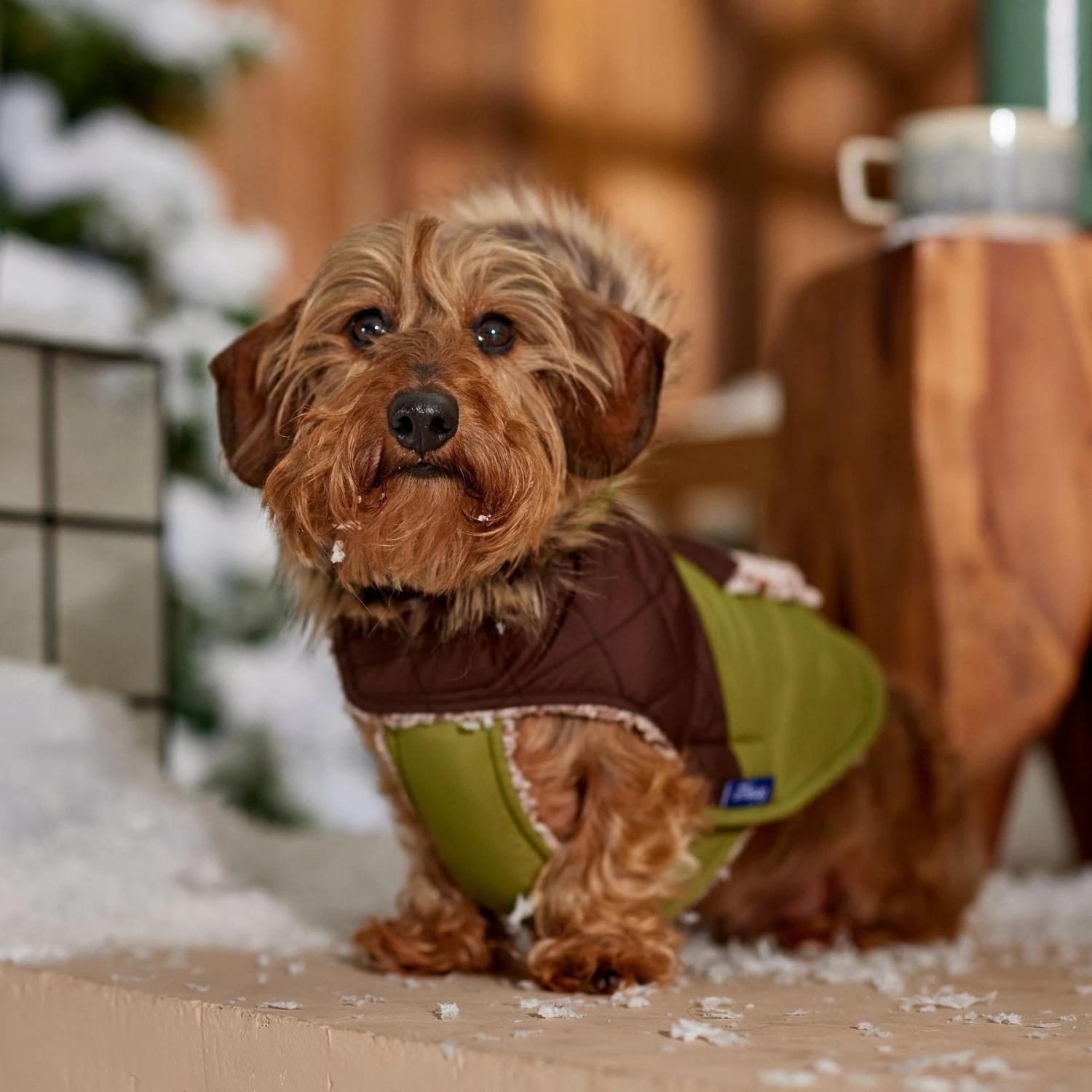 Frisco Heavy Weight 2-Tone Sherpa Lined Hybrid Quilted Dog & Cat Parka 10 Frisco Heavy Weight 2-Tone Sherpa Lined Hybrid Quilted Dog & Cat Parka - Image 8