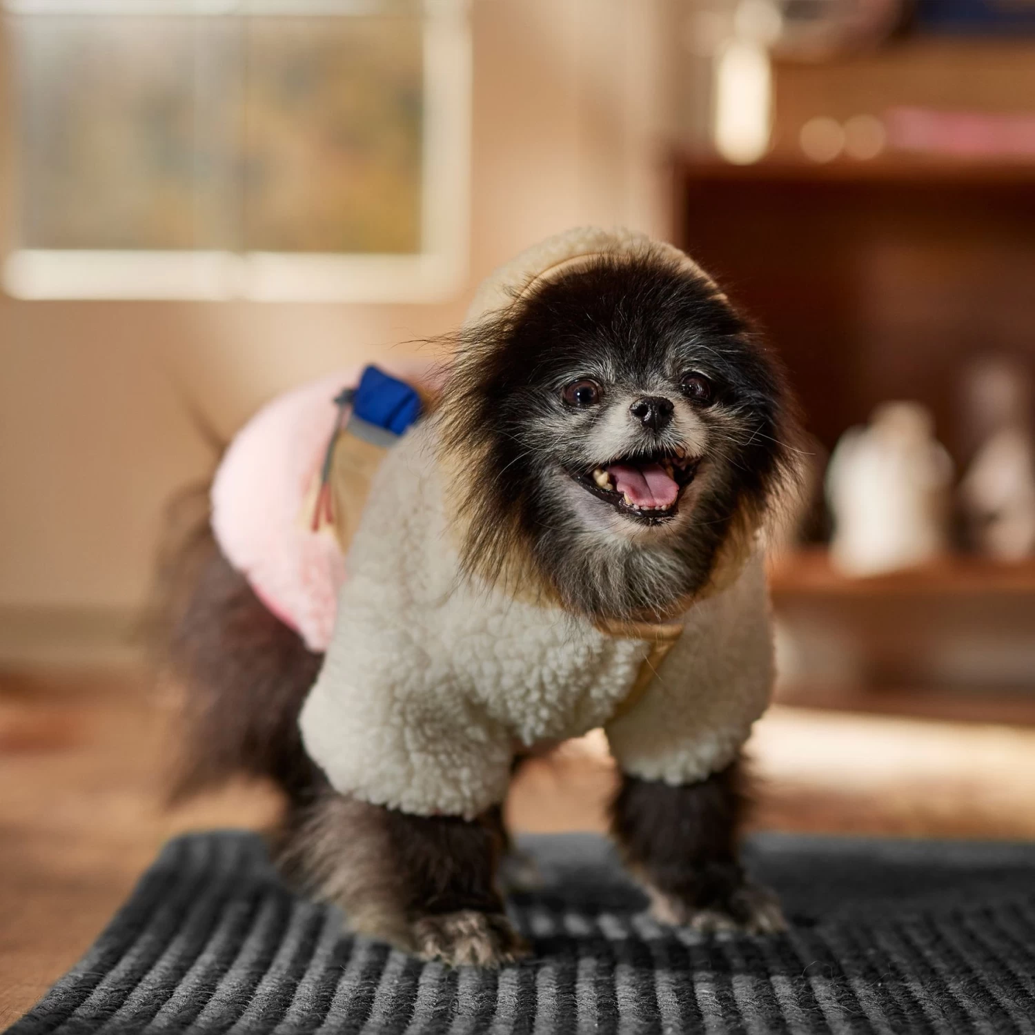 Frisco Colorblock Fleece Dog & Cat Hoodie W/ Pocket 10 Frisco Colorblock Fleece Dog & Cat Hoodie W/ Pocket - Image 8
