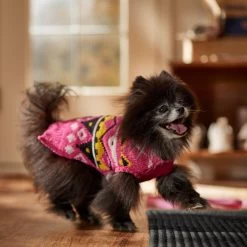 Frisco Bold Nordic V-Neck Dog & Cat Sweater -Frisco 718710 PT7. AC SS1800 V1692377763