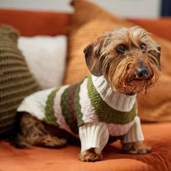 Frisco Bubble Knit Multi Striped Mock Neck Dog & Cat Sweater 16 Frisco Bubble Knit Multi Striped Mock Neck Dog & Cat Sweater -Frisco 718854 PT7. AC SS1800 V1692378688