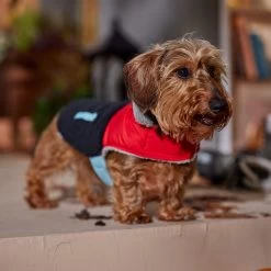 Frisco Medium Weight Retro Colorblock Mixed Media Dog & Cat Coat -Frisco 719462 PT7. AC SS1800 V1692379031