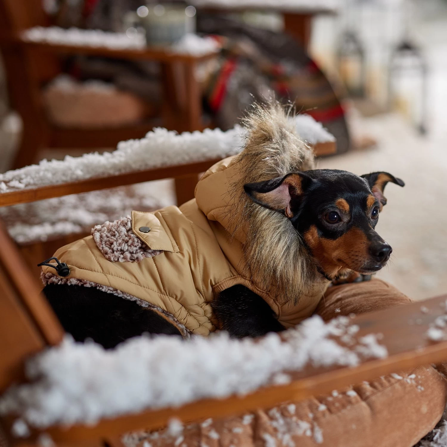 Frisco Heavy Weight Matte Quilted Dog & Cat Parka With Cozy Fleece Lining 10 Frisco Heavy Weight Matte Quilted Dog & Cat Parka With Cozy Fleece Lining - Image 8