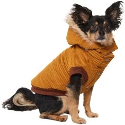 Frisco Heavy Weight Lux Corduroy Insulated Dog & Cat Coat With Fur Trimmed Hood -Frisco 719966 PT2. AC SS1800 V1703184628
