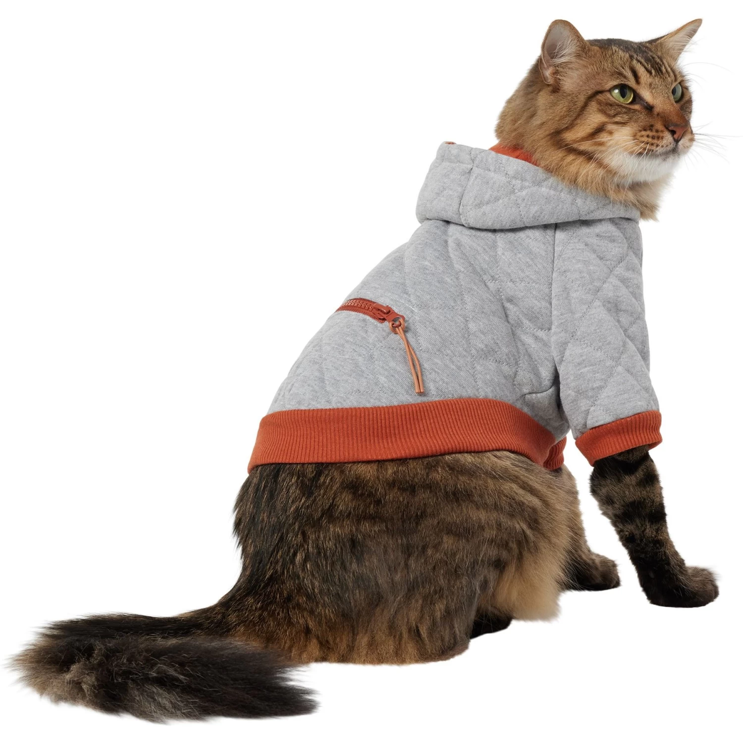 Frisco Quilted Dog & Cat Hoodie 3 Frisco Quilted Dog & Cat Hoodie