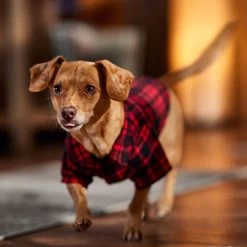 Frisco Red Tartan Plaid Dog & Cat Flannel Shirt 18 Frisco Red Tartan Plaid Dog & Cat Flannel Shirt -Frisco 720790 PT7. AC SS1800 V1693401090