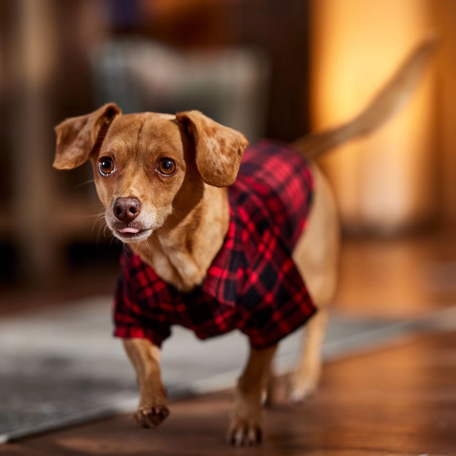 Frisco Red Tartan Plaid Dog & Cat Flannel Shirt 10 Frisco Red Tartan Plaid Dog & Cat Flannel Shirt - Image 8
