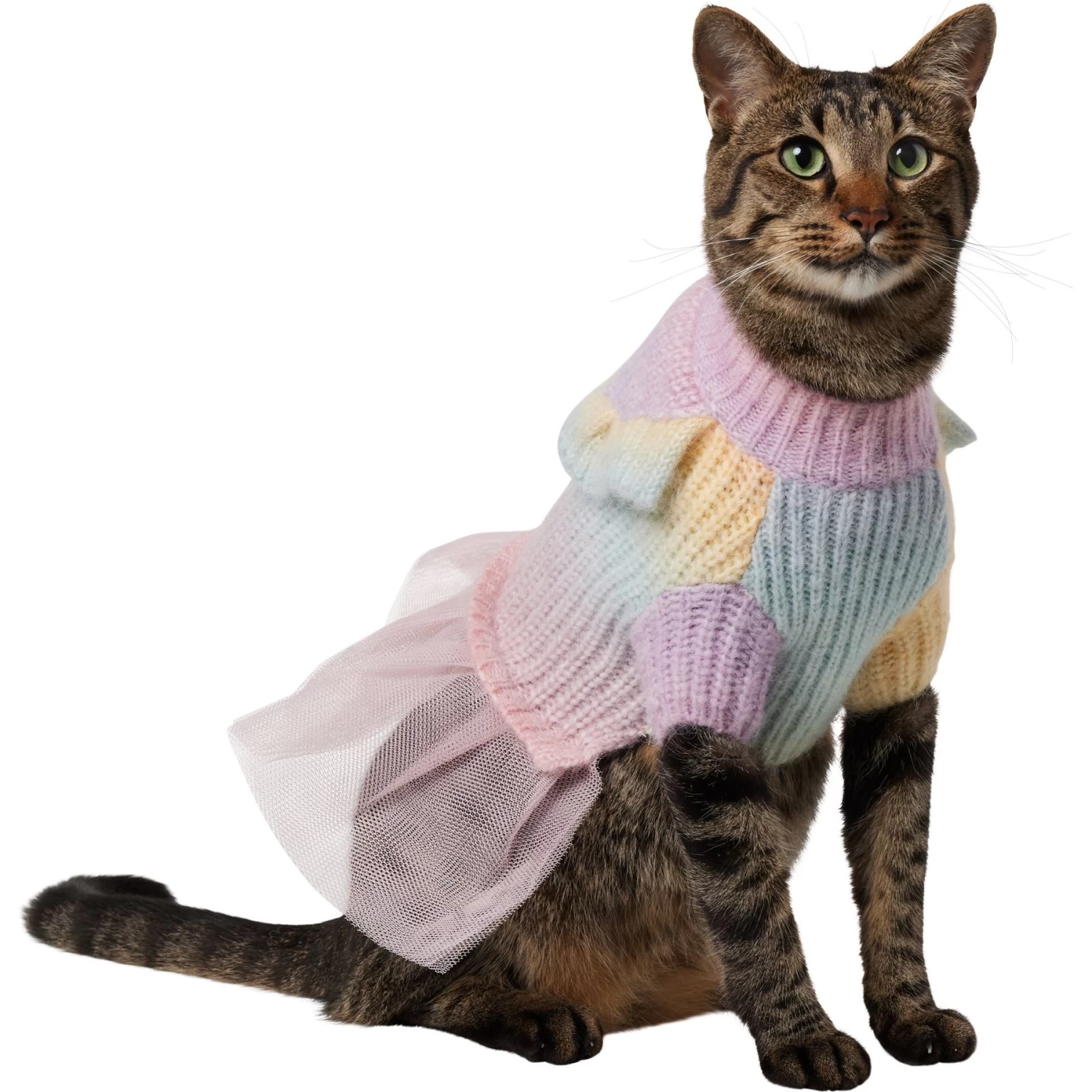 Frisco Rainbow Dog & Cat Sweater Dress 3 Frisco Rainbow Dog & Cat Sweater Dress