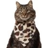 Frisco Leopard Faux Fur Dog & Cat Bandana -Frisco 733894 MAIN. AC SS1800 V1692379950