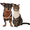 Frisco Reversible Cozy Knit Faux Fur Dog & Cat Pullover Bandana -Frisco 733918 MAIN. AC SS1800 V1692380241