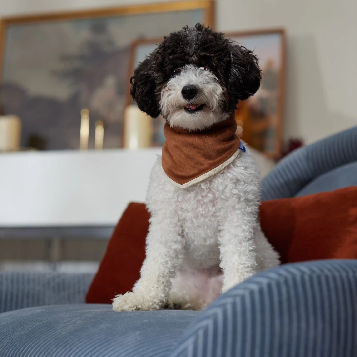 Frisco Reversible Cozy Knit Faux Fur Dog & Cat Pullover Bandana 8 Frisco Reversible Cozy Knit Faux Fur Dog & Cat Pullover Bandana - Image 6