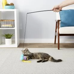 Hartz Delectables Squeeze Up Variety Pack Lickable Cat Treats & Frisco Bird With Feathers Teaser Wand Cat Toy With Catnip 18 Hartz Delectables Squeeze Up Variety Pack Lickable Cat Treats & Frisco Bird With Feathers Teaser Wand Cat Toy With Catnip -Frisco 737438 PT7. AC SS1800 V1670877149