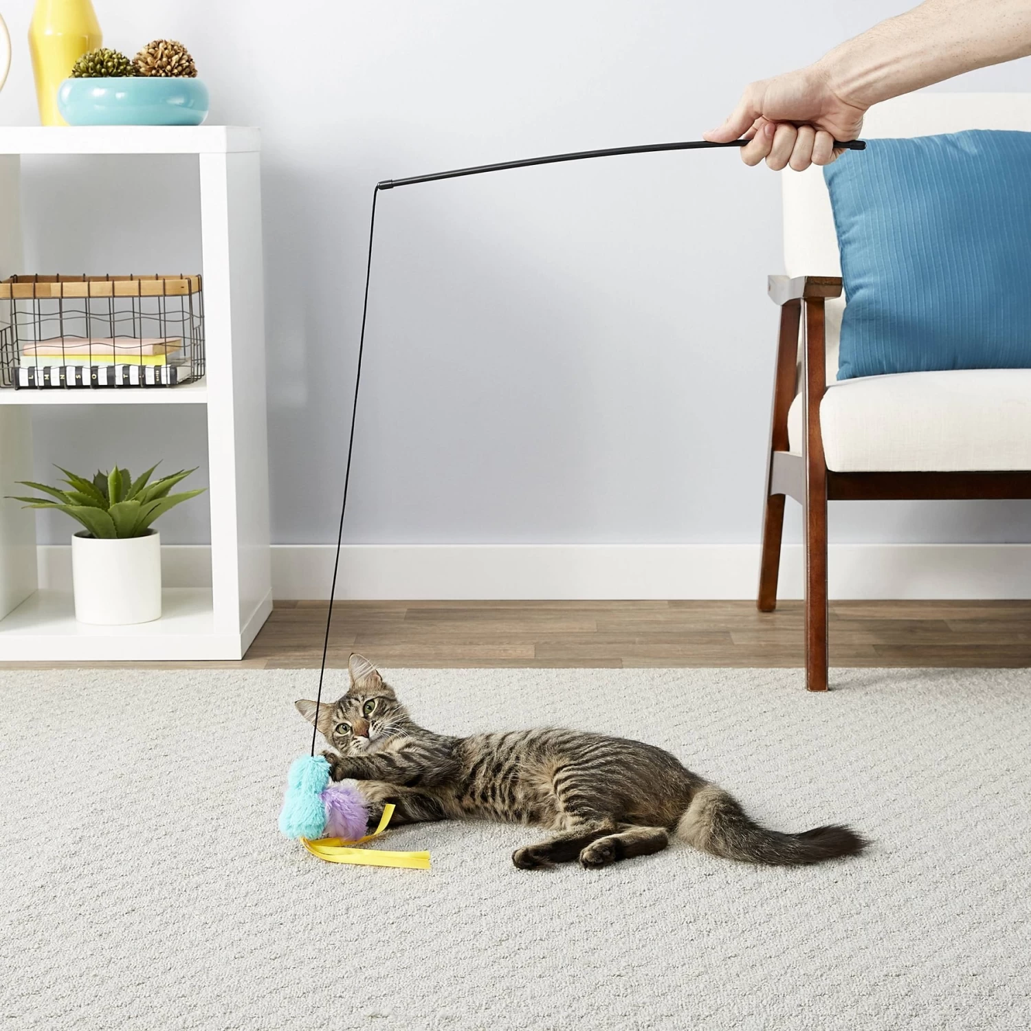 Hartz Delectables Squeeze Up Variety Pack Lickable Cat Treats & Frisco Bird With Feathers Teaser Wand Cat Toy With Catnip 10 Hartz Delectables Squeeze Up Variety Pack Lickable Cat Treats & Frisco Bird With Feathers Teaser Wand Cat Toy With Catnip - Image 8