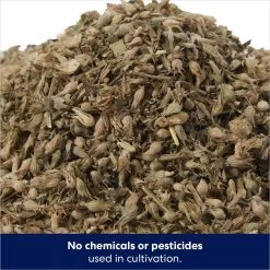 Frisco Natural Catnip & Hartz Just For Cats Mini Mice Cat Toy With Catnip, 5 Count 14 Frisco Natural Catnip & Hartz Just For Cats Mini Mice Cat Toy With Catnip, 5 Count -Frisco 737478 PT3. AC SS1800 V1683212198