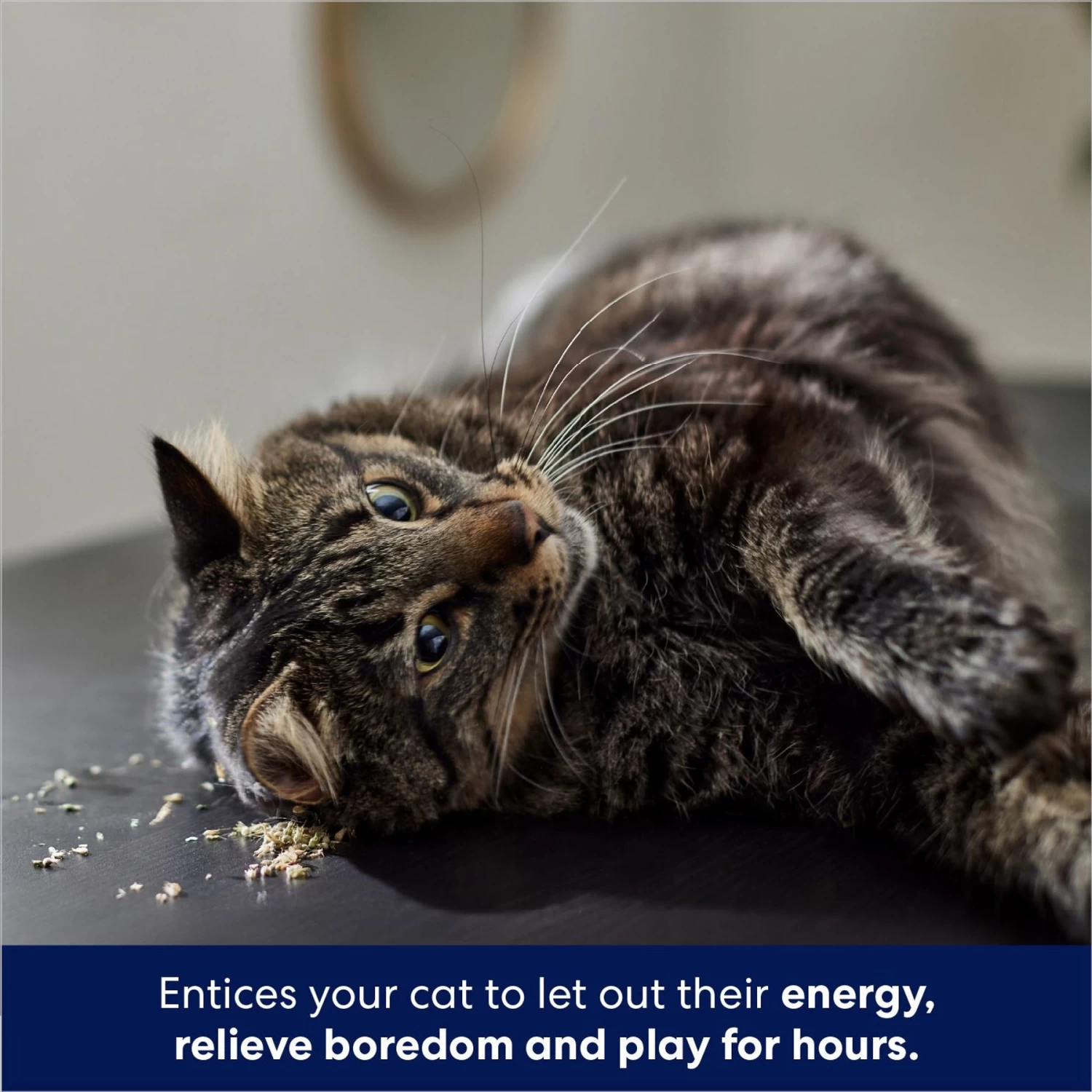 Frisco Natural Catnip & Hartz Just For Cats Mini Mice Cat Toy With Catnip, 5 Count 7 Frisco Natural Catnip & Hartz Just For Cats Mini Mice Cat Toy With Catnip, 5 Count - Image 5