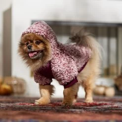 Frisco Textured Wubby 2-Tone Fleece Dog & Cat Hoodie 17 Frisco Textured Wubby 2-Tone Fleece Dog & Cat Hoodie -Frisco 742406 PT7. AC SS1800 V1692378336