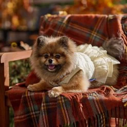 Frisco Medium Weight Quilted Ruffle Tiered Dog & Cat Dress 18 Frisco Medium Weight Quilted Ruffle Tiered Dog & Cat Dress -Frisco 744262 PT7. AC SS1800 V1693401666