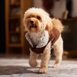 Frisco Medium Weight Quilted Dog & Cat Coat With Cozy Sherpa Lining 18 Frisco Medium Weight Quilted Dog & Cat Coat With Cozy Sherpa Lining -Frisco 744310 PT7. AC SS1800 V1692375981