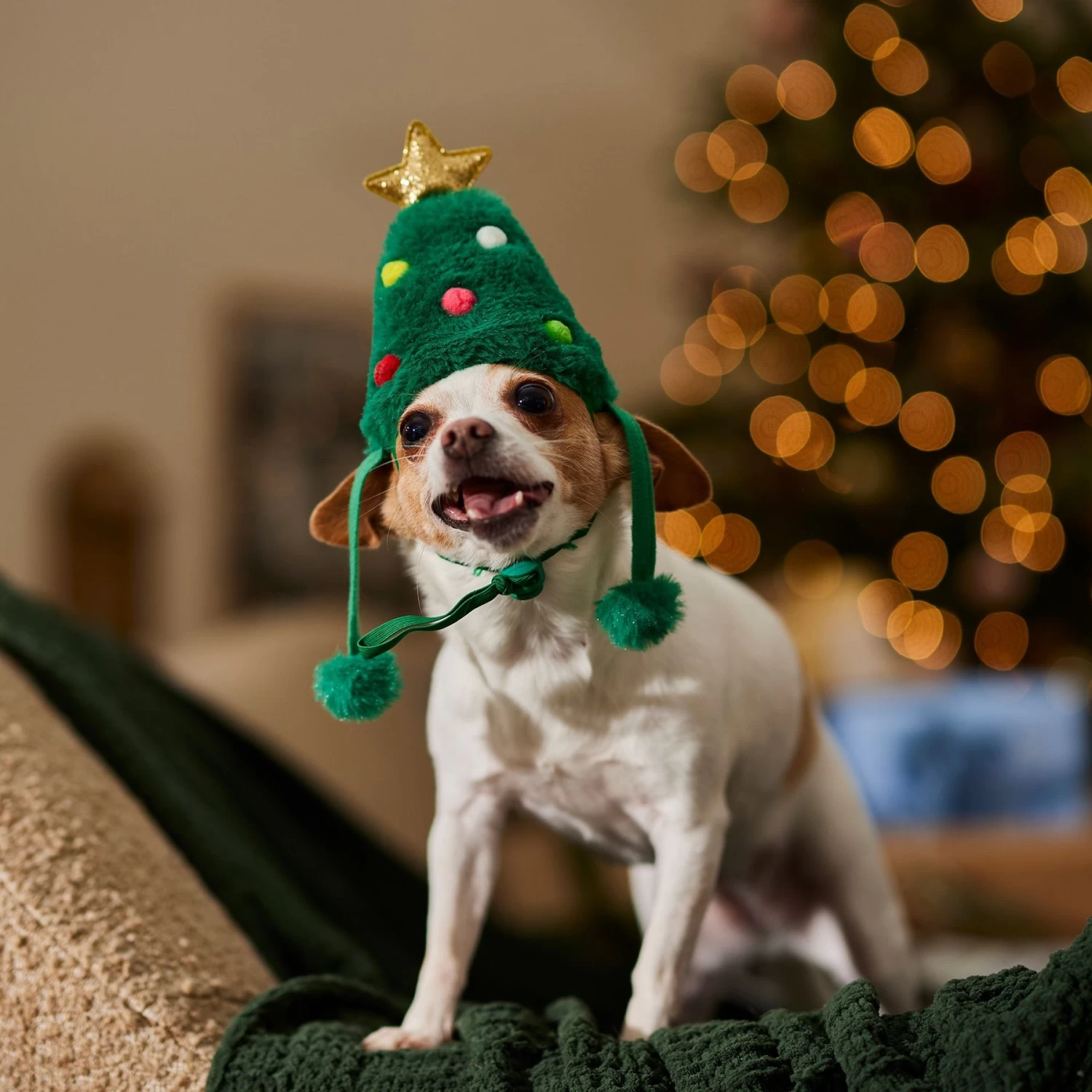 Frisco Christmas Tree Faux Fur Dog & Cat Hat 8 Frisco Christmas Tree Faux Fur Dog & Cat Hat - Image 6