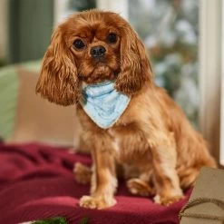 Frisco Reversible Snowflake Cozy Knit Faux Fur Dog & Cat Pullover Bandana, 1 Count -Frisco 746630 PT6. AC SS1800 V1694799358