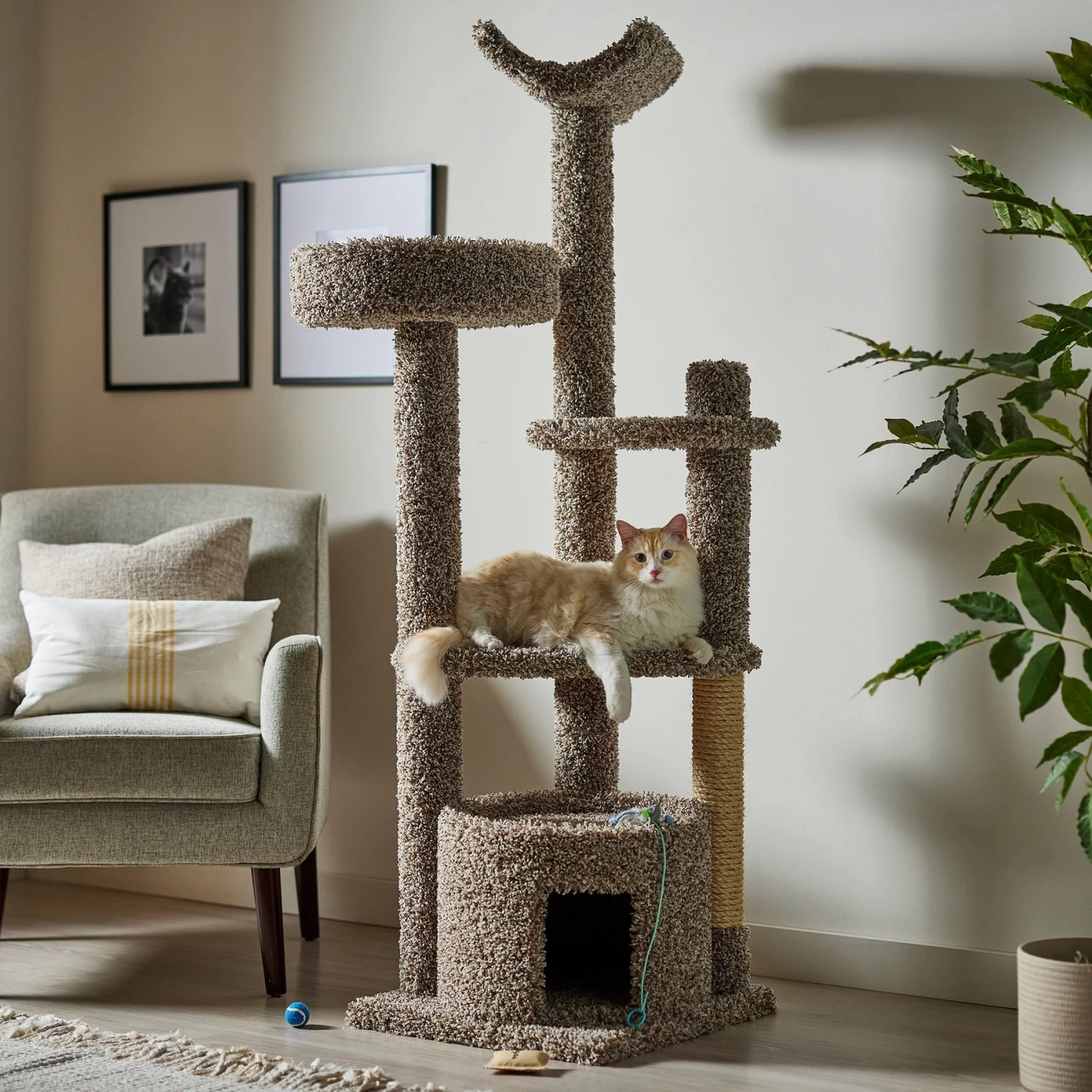 Frisco 64-in Real Carpet Wooden Cat Tree And Condo 3 Frisco 64-in Real Carpet Wooden Cat Tree And Condo