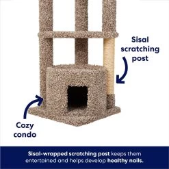 Frisco 64-in Real Carpet Wooden Cat Tree And Condo 9 Frisco 64-in Real Carpet Wooden Cat Tree And Condo -Frisco 914950 PT2. AC SS1800 V1697733055