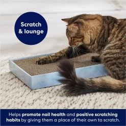 Frisco Double-Wide Cat Scratcher Toy Refill With Catnip, 2 Count & Frisco Double-Wide Cat Scratcher Toy With Catnip 18 Frisco Double-Wide Cat Scratcher Toy Refill With Catnip, 2 Count & Frisco Double-Wide Cat Scratcher Toy With Catnip -Frisco 933566 PT7. AC SS1800 V1692304490