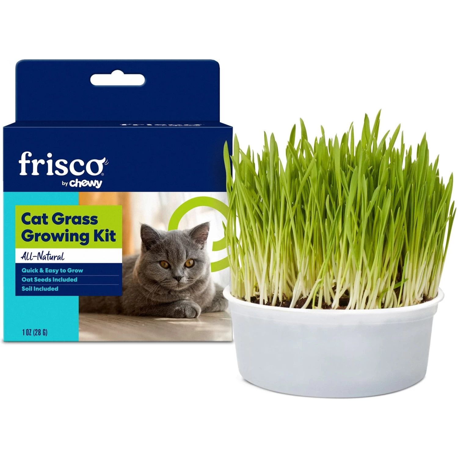 Frisco Natural Cat Grass Growing Kit 3 Frisco Natural Cat Grass Growing Kit