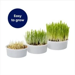 Frisco Natural Cat Grass Growing Kit 13 Frisco Natural Cat Grass Growing Kit -Frisco 944102 PT4. AC SS1800 V1701364932