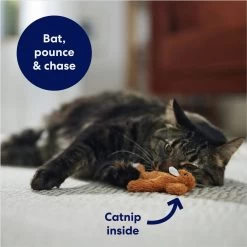 Frisco Squirrel Plush Cat Toy With Refillable Catnip & Frisco Bird With Feathers Teaser Wand Cat Toy With Catnip 14 Frisco Squirrel Plush Cat Toy With Refillable Catnip & Frisco Bird With Feathers Teaser Wand Cat Toy With Catnip -Frisco 962030 PT3. AC SS1800 V1694783954