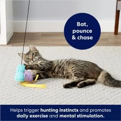 Frisco Squirrel Plush Cat Toy With Refillable Catnip & Frisco Bird With Feathers Teaser Wand Cat Toy With Catnip 19 Frisco Squirrel Plush Cat Toy With Refillable Catnip & Frisco Bird With Feathers Teaser Wand Cat Toy With Catnip -Frisco 962030 PT8. AC SS1800 V1694783953