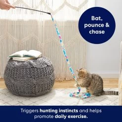 Frisco Fabric Teaser Wand Cat Toy & Frisco Bird With Feathers Teaser Wand Cat Toy With Catnip 13 Frisco Fabric Teaser Wand Cat Toy & Frisco Bird With Feathers Teaser Wand Cat Toy With Catnip -Frisco 962094 PT3. AC SS1800 V1694782977