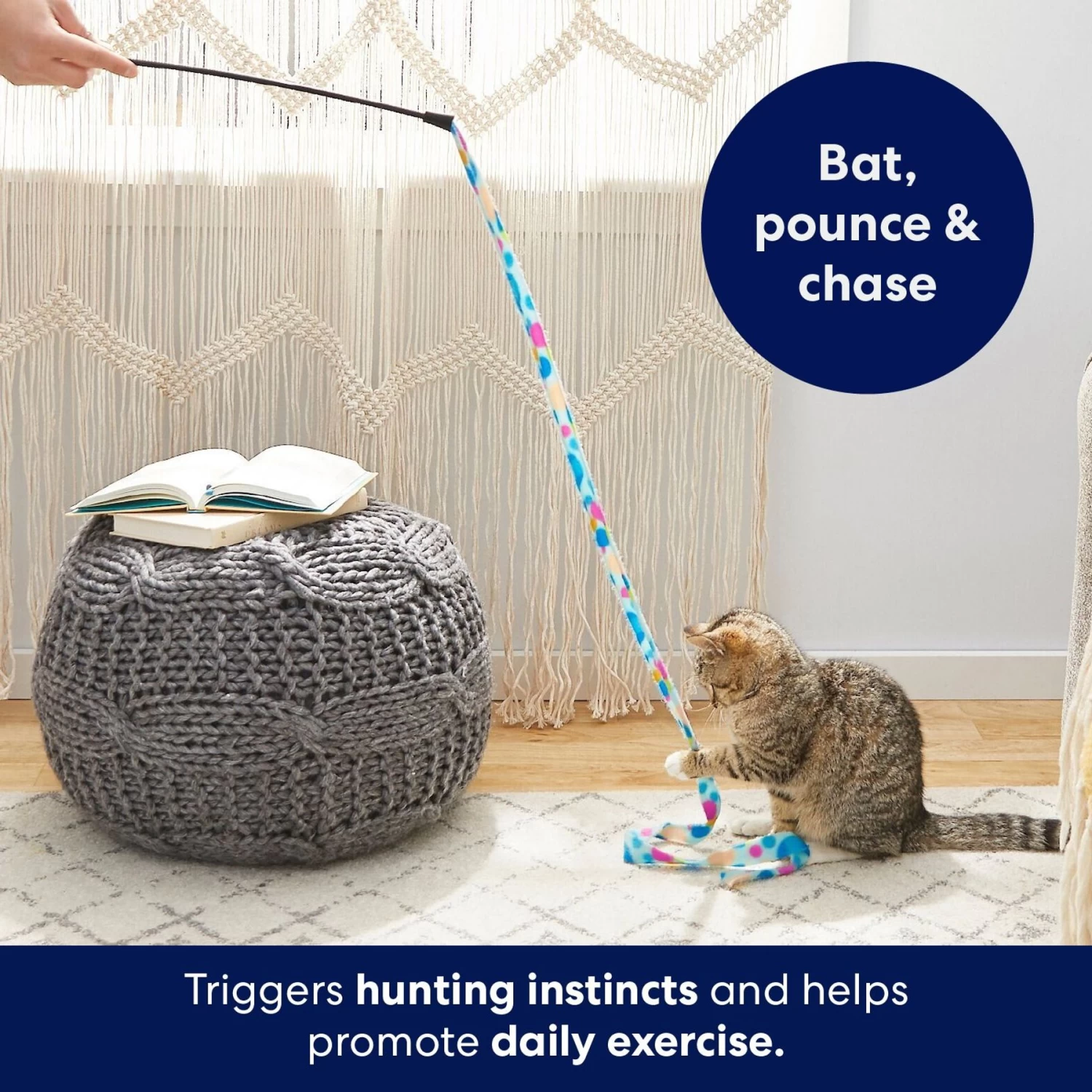 Frisco Fabric Teaser Wand Cat Toy & Frisco Bird With Feathers Teaser Wand Cat Toy With Catnip 5 Frisco Fabric Teaser Wand Cat Toy & Frisco Bird With Feathers Teaser Wand Cat Toy With Catnip - Image 4